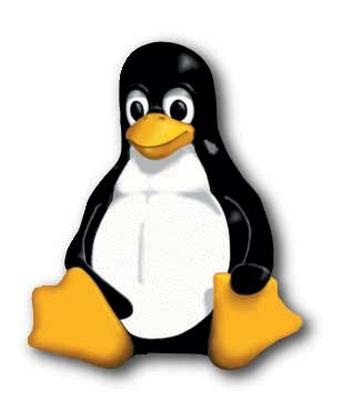 Linux Hosting Servers